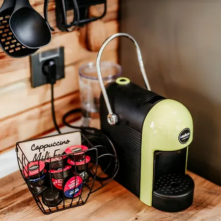 Lion's Forest * Atiya