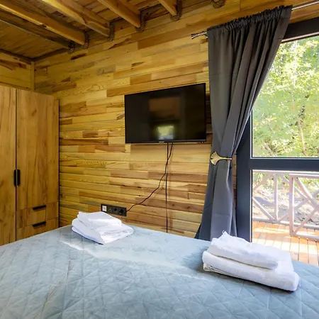 Lion's Forest * Atiya