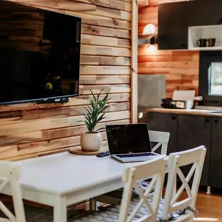 Lion's Forest * Atiya