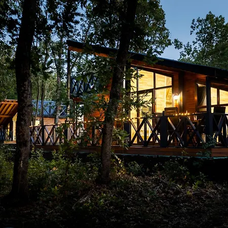 Villa Lion's Forest Atiya